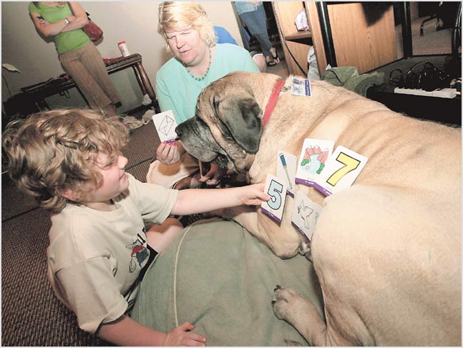 Using Pets in Speech Therapy